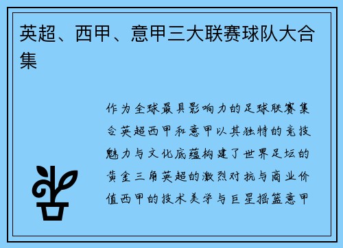 英超、西甲、意甲三大联赛球队大合集