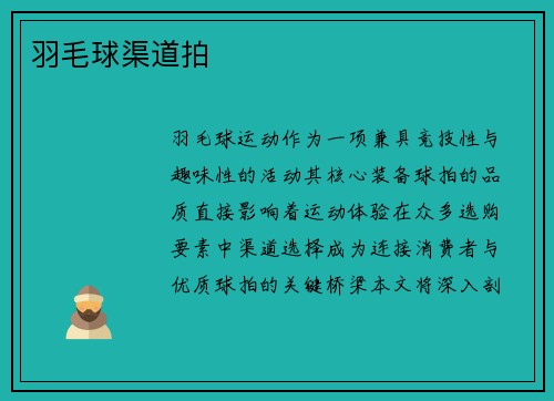 羽毛球渠道拍